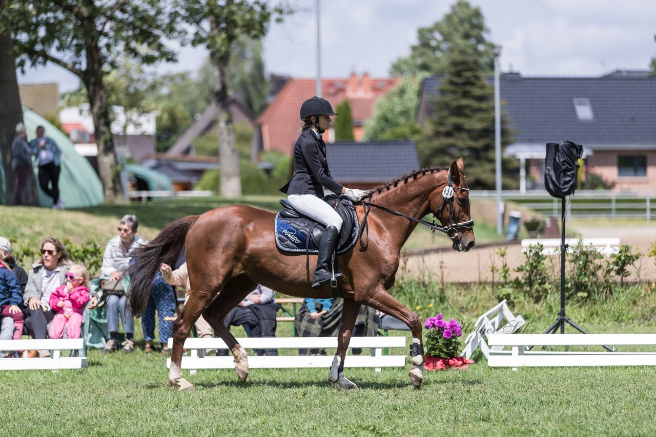 Bild 9 - Pony Akademie Turnier